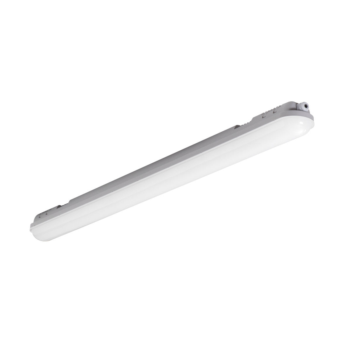 LED pièce humide gris clair, 40W IP65 230V