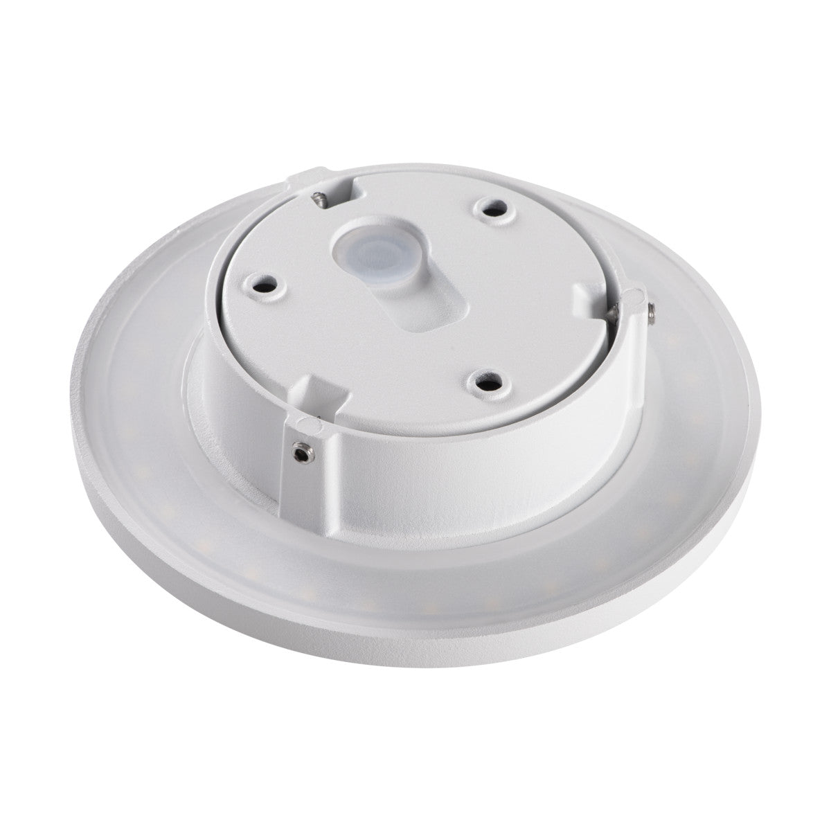 Applique LED ronde graphite ou blanc blanc neutre 8W IP54 230V