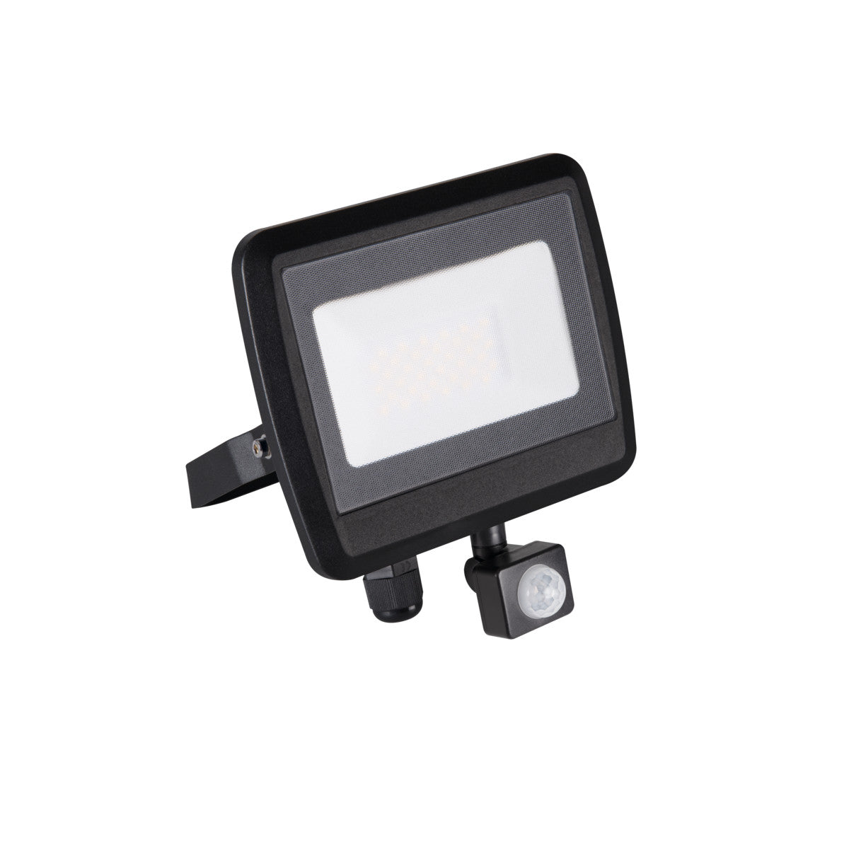 LED outdoor spotlight black without/with motion sensor, 30W IP65/IP44 230V 