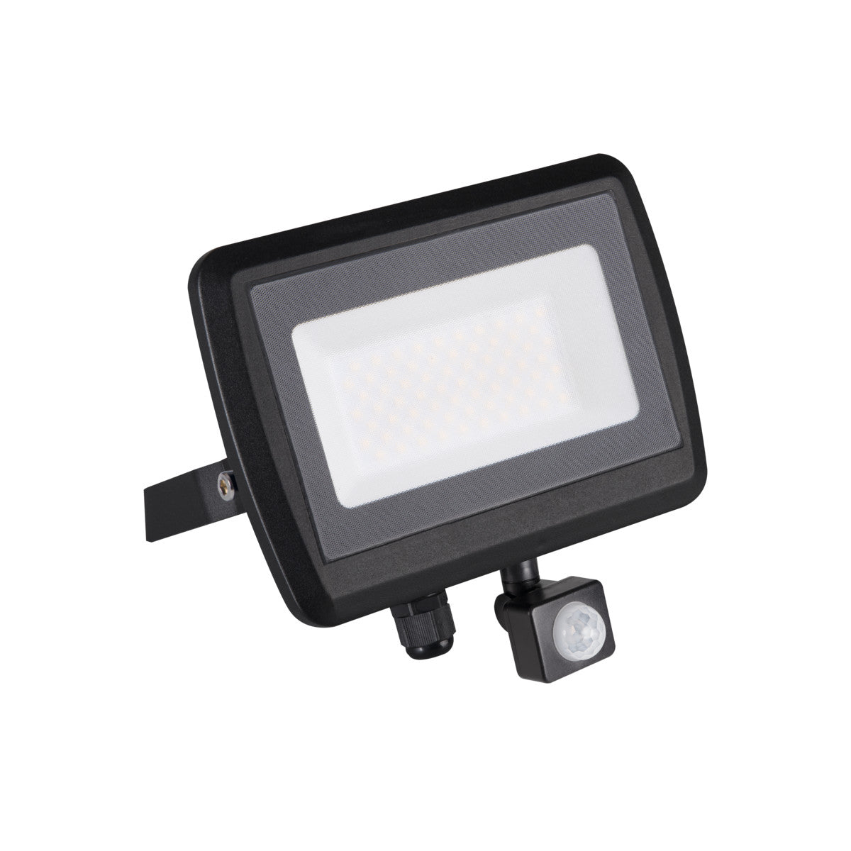 LED outdoor spotlight black, 50W IP65/IP44 230V 