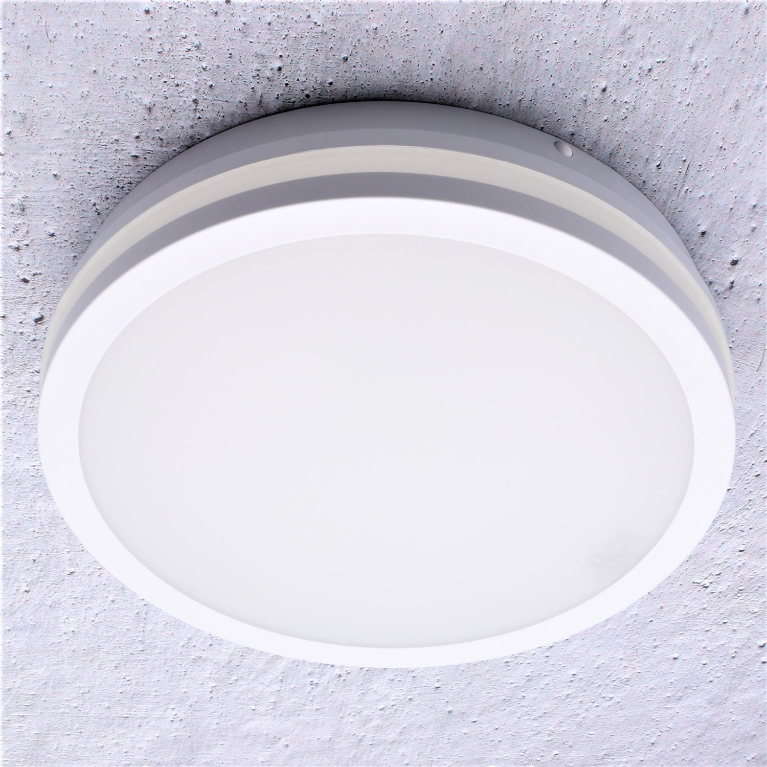 LED wall and ceiling light round white with or without motion sensor 24W neutral white IP54 230V 