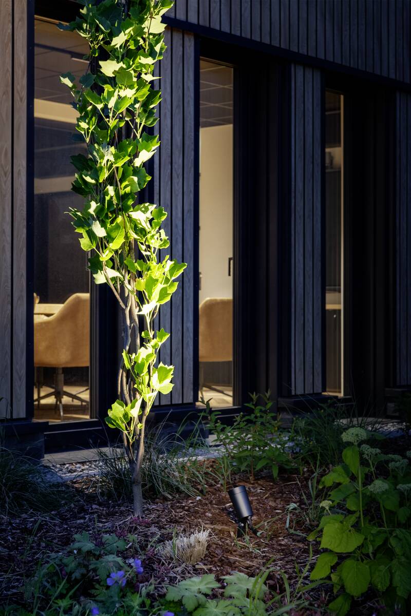 SLV SYNA PLANT LED-Gartenstrahler 1007146 – Ansicht 8