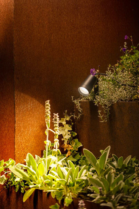 SLV SYNA PLANT LED-Gartenstrahler 1007146 – Ansicht 9