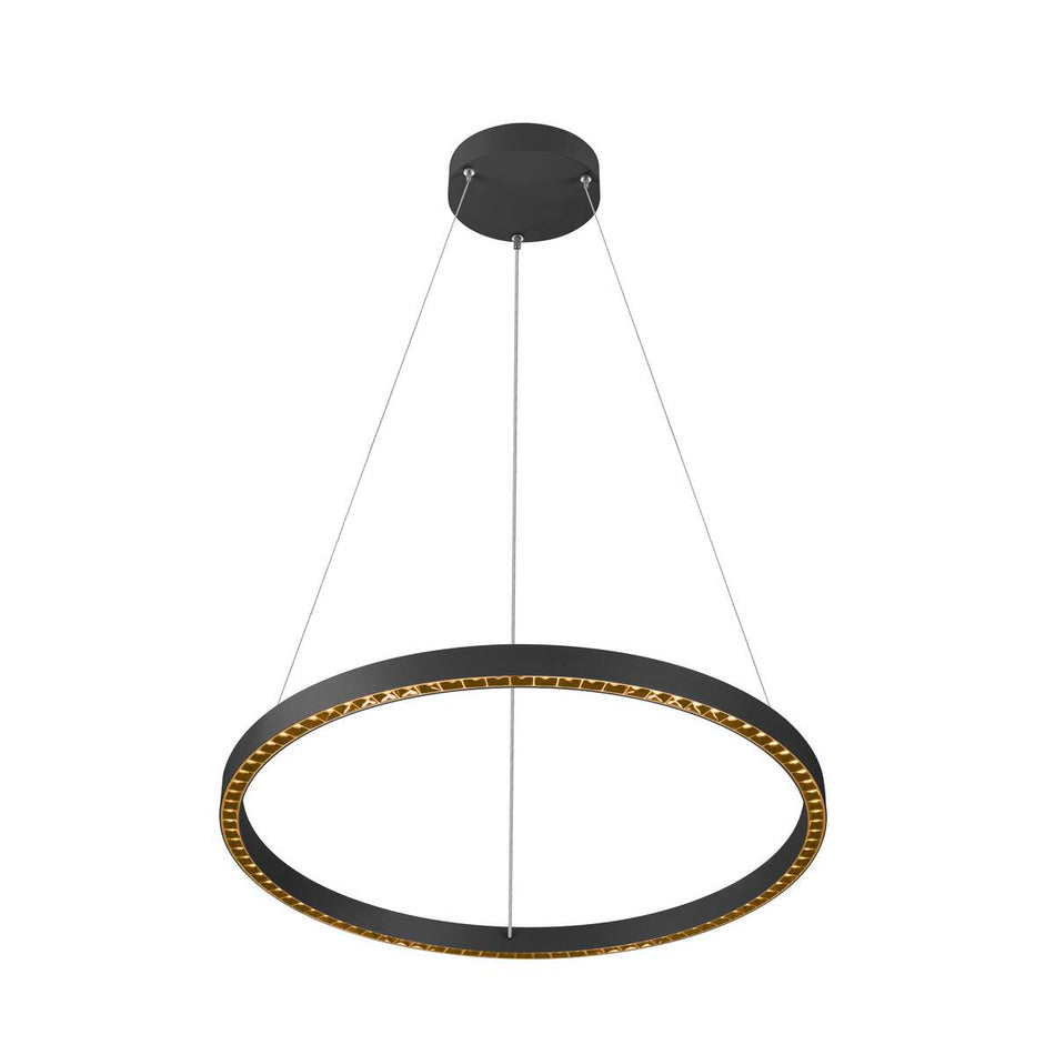 SLV  Pendelleuchte 300Cm 3000K Dali 2 Touch Schwarz