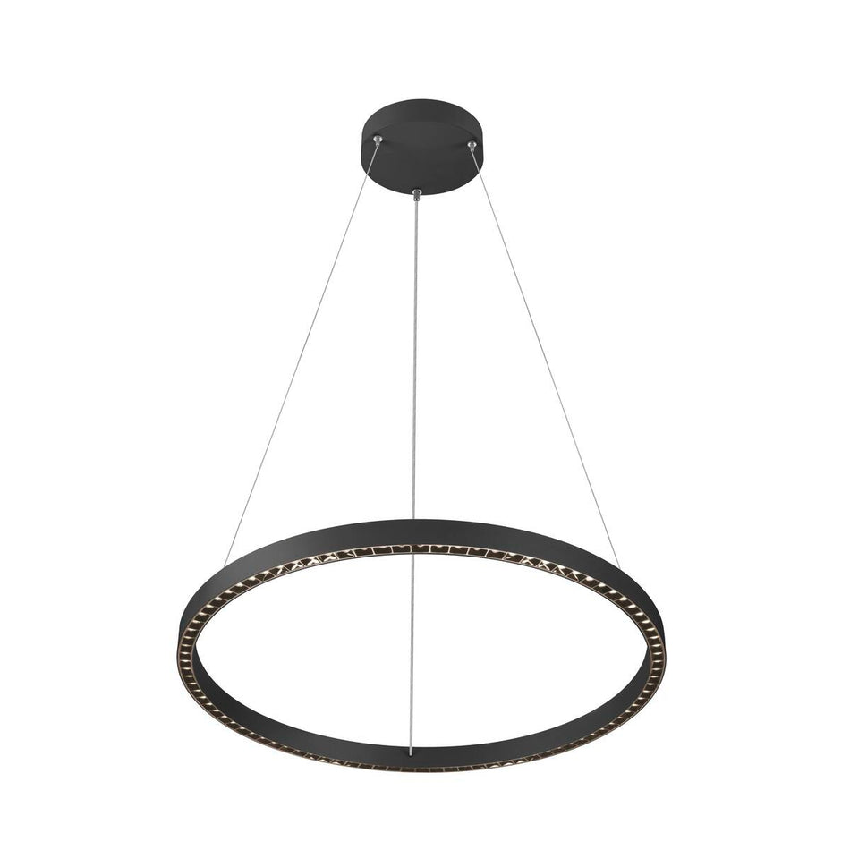 SLV  Pendelleuchte 300Cm 4000K Dali 2 Touch Schwarz
