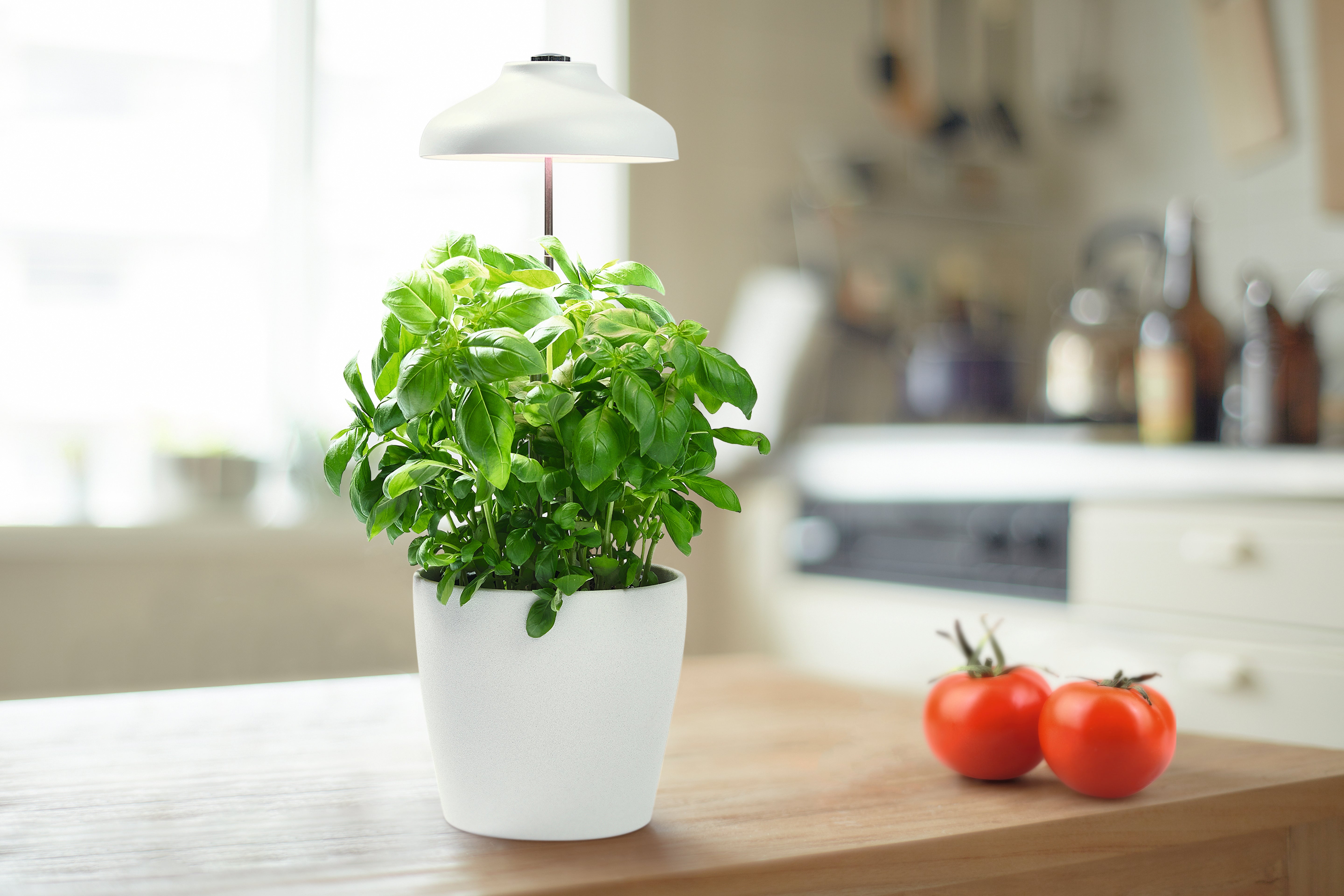 Abat-jour LED pour plantes - éclairage intérieur LED USB 5W, 3400K, soutient la croissance des plantes, LEDVANCE