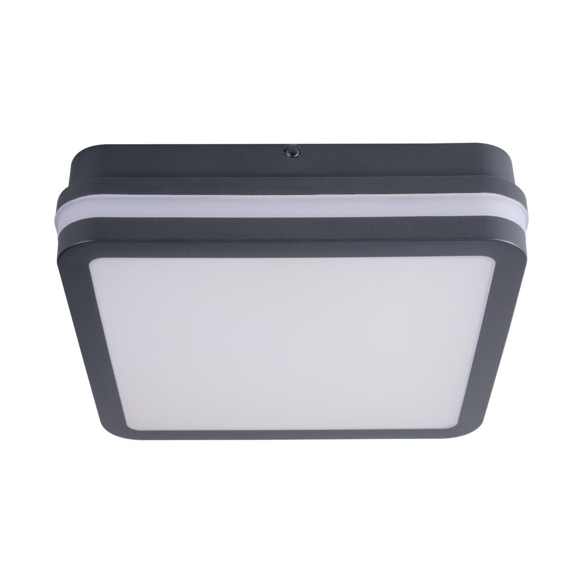 LED wall and ceiling light square graphite 18W neutral white IP54 230V 